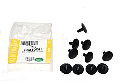 RZM500041 - SCREW