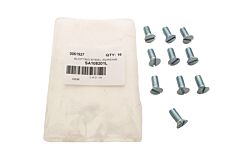 SLOTTED STEEL SCREWS
