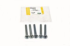 SE108601 - SCREW