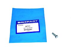 SET SCREW