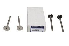 EXHAUST VALVE