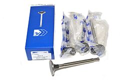 EXHAUST VALVE