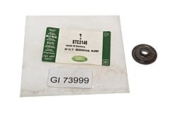 PLATE VALVE SPR