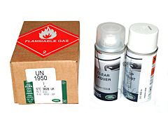 PAINT - AEROSOL