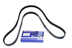 BELT-POLYVEE