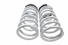 1" lowered rear springs for a Defender 110