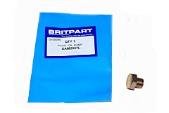 PLUG OIL SUMP