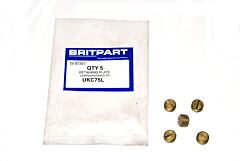 RETAINING PLATE