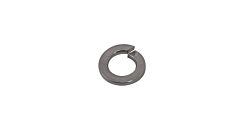 Rhino-Rack - M8 Spring Washer (Stainless Steel) (10 Pack)